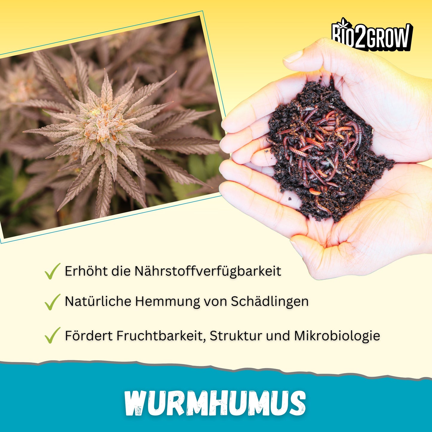 Bio2grow Wurmhumus