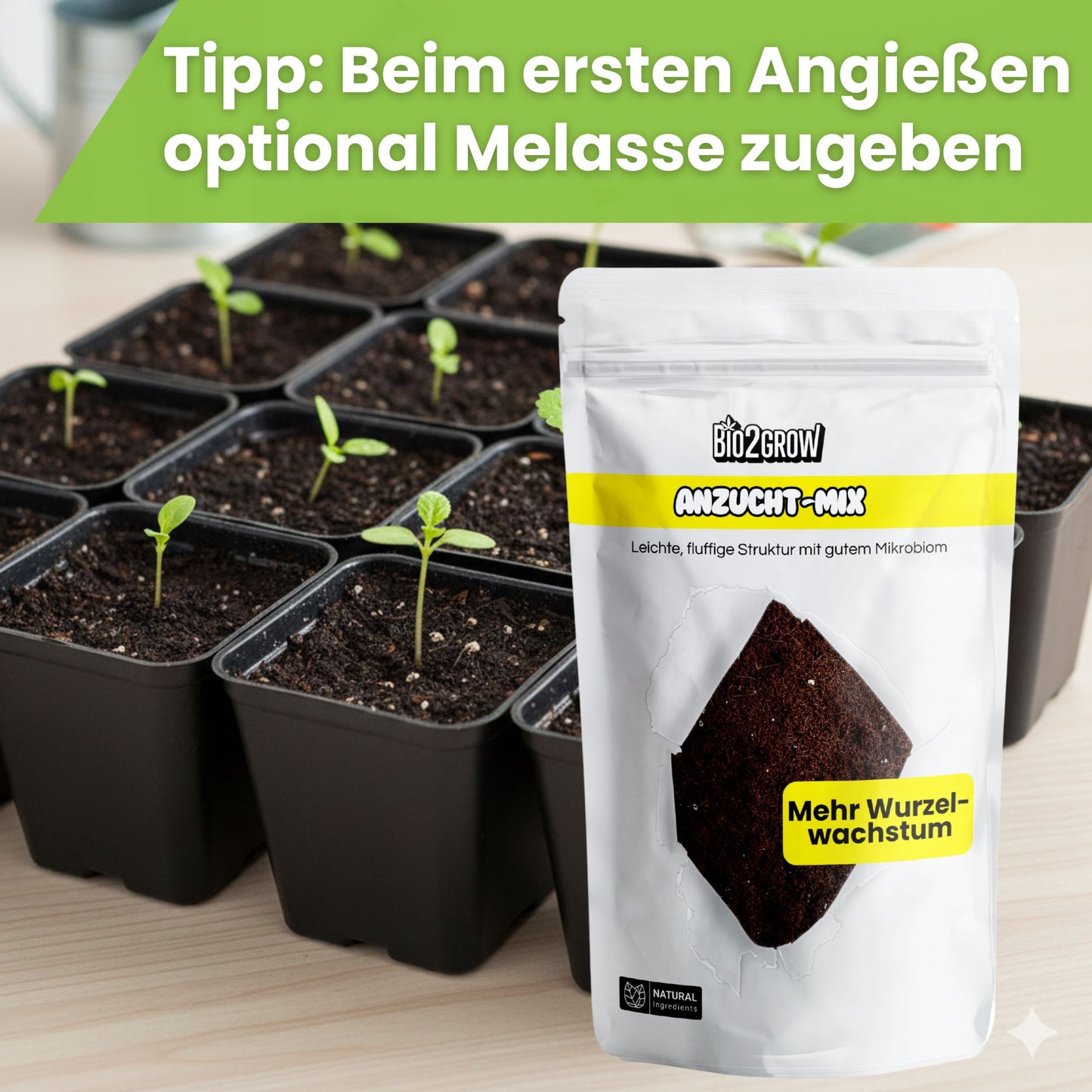 Bio2grow Farm Mix Anzuchtmix