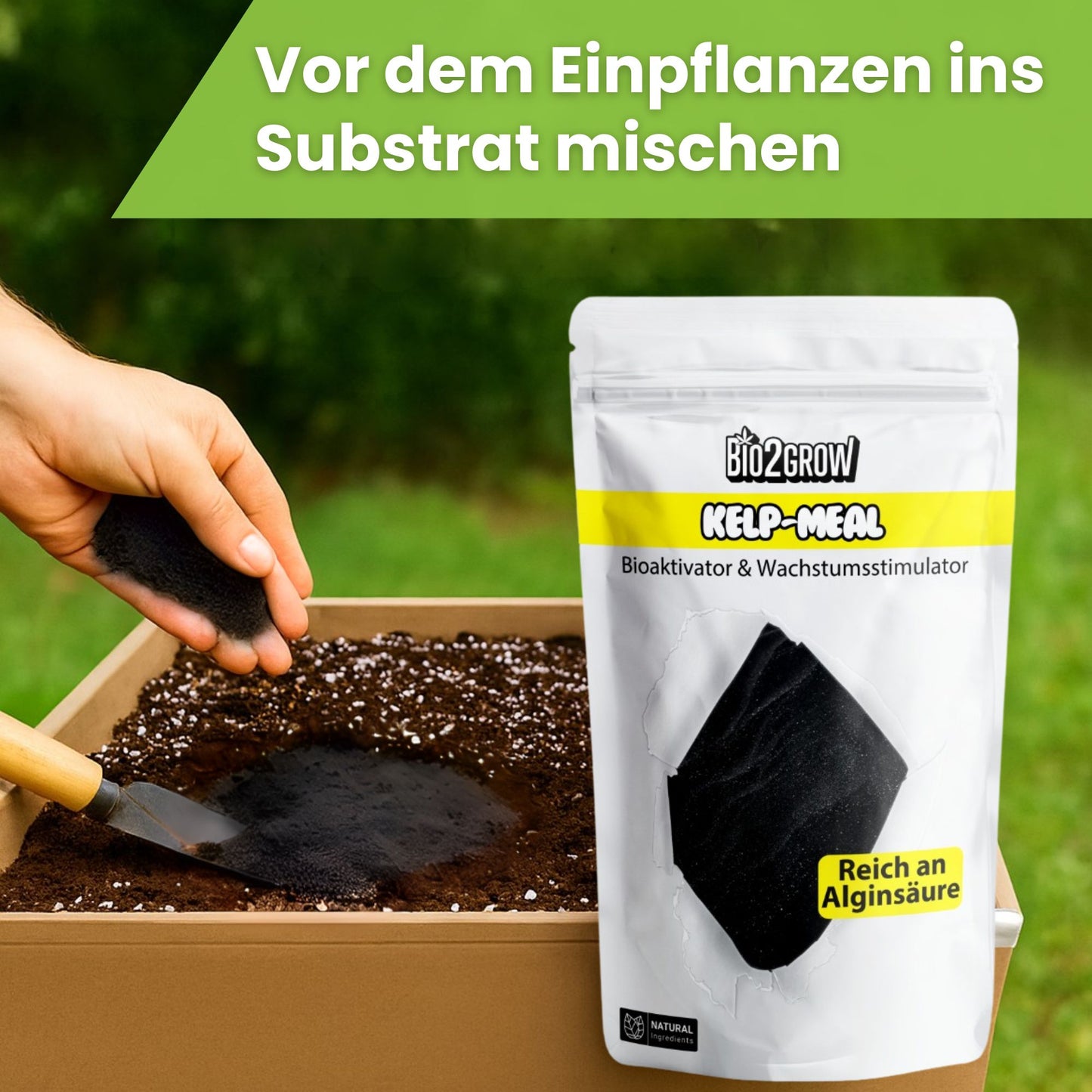 Bio2Grow Kelp Meal – Natürlicher Wachstumsturbo aus Meeresalgen