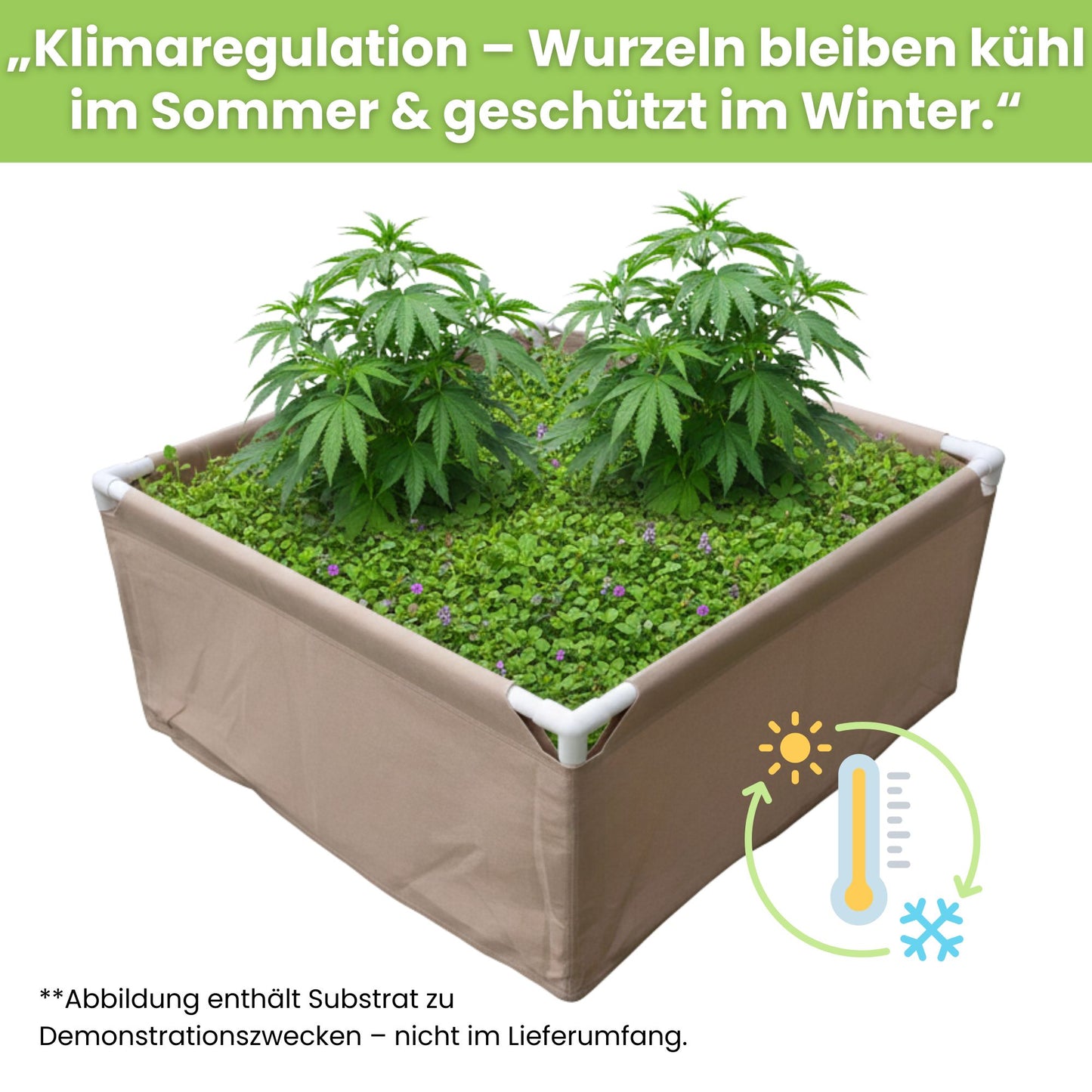 Bio2grow Living Soil Beet 120x120x45 cm - Hochwertiges Pflanzbeet für Indoor & Outdoor