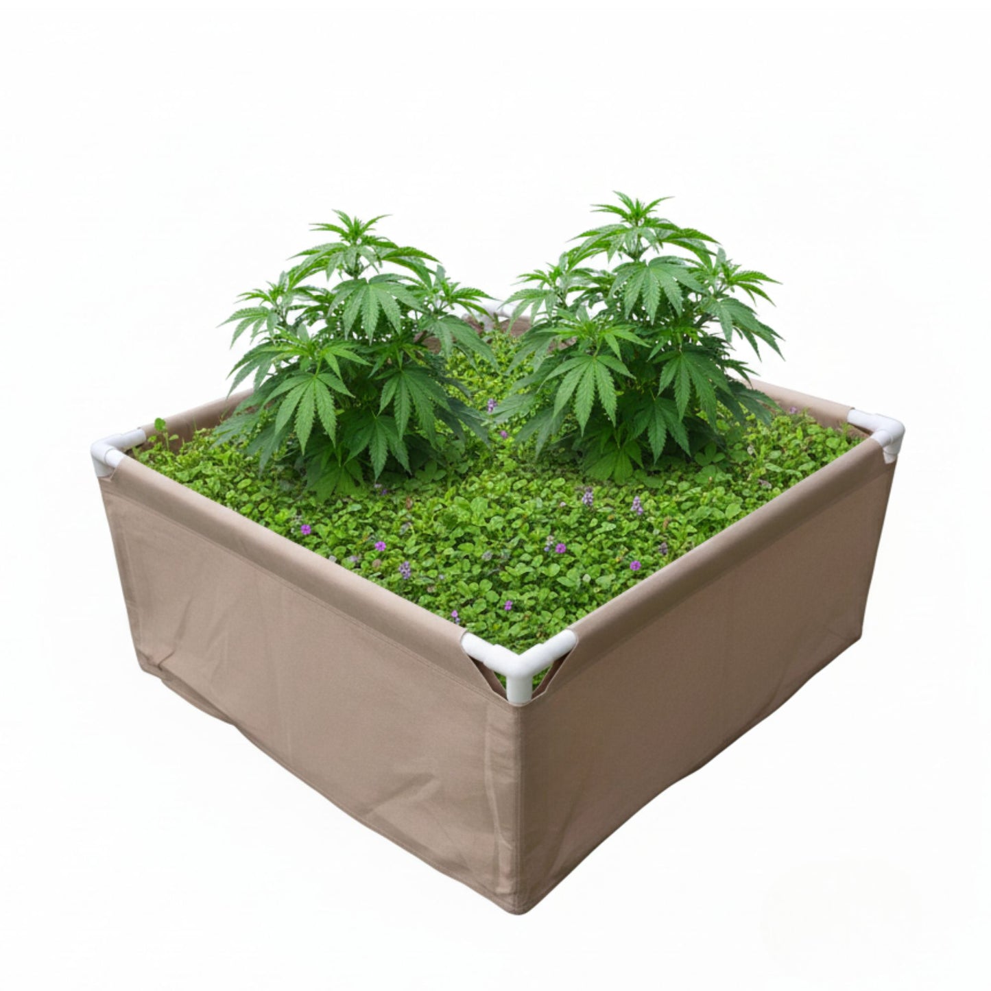 Bio2grow Living Soil Beet 120x120x45 cm - Hochwertiges Pflanzbeet für Indoor & Outdoor