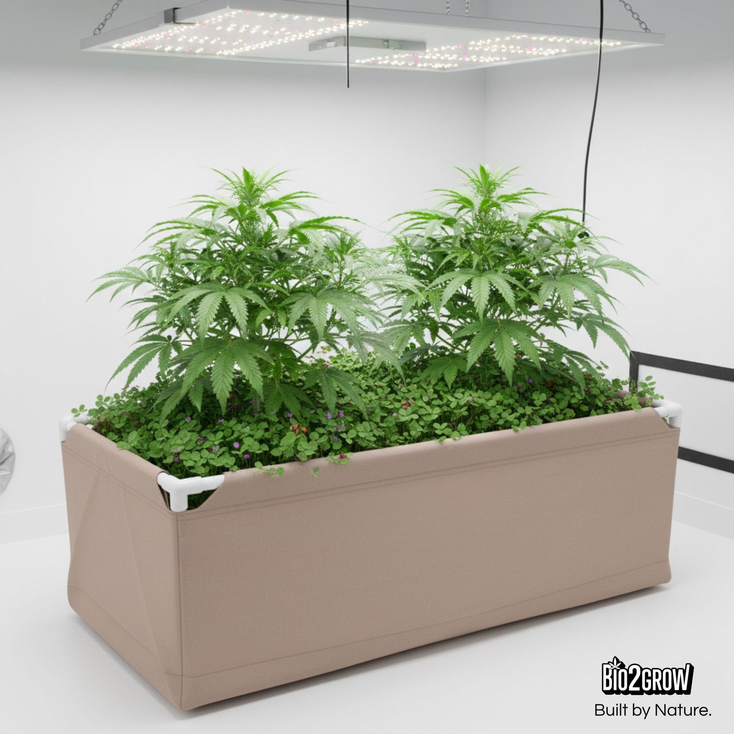 Bio2Grow Living Soil Beet 120x60x45 cm – Hochwertiges Pflanzbeet für Indoor & Outdoor
