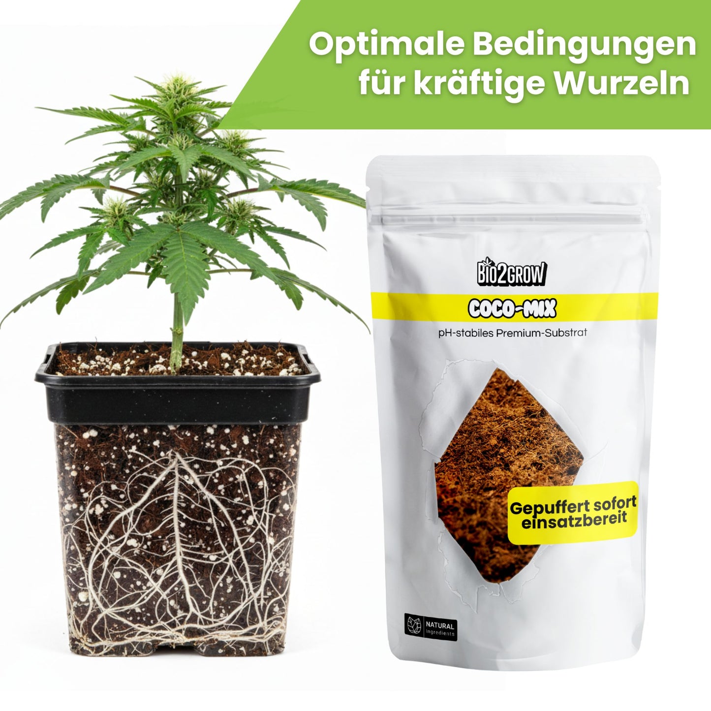 Bio2grow Coco Mix
