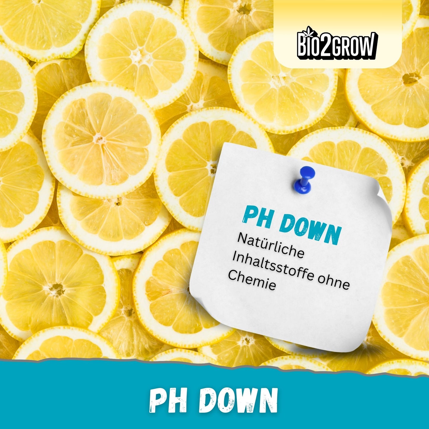Bio2grow pH Down Regulator - (minus)